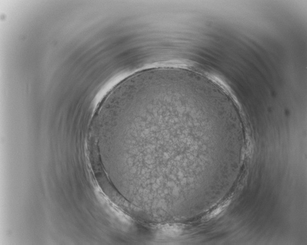 X0000056000952200508261746