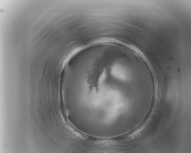 X0000056000953200508261746