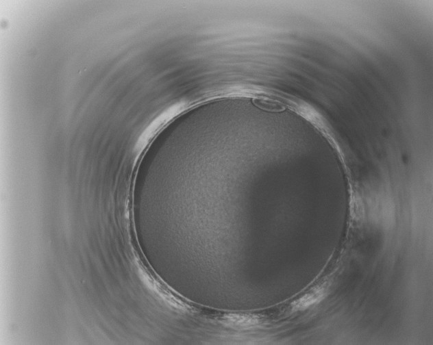 X0000056000954200508261746