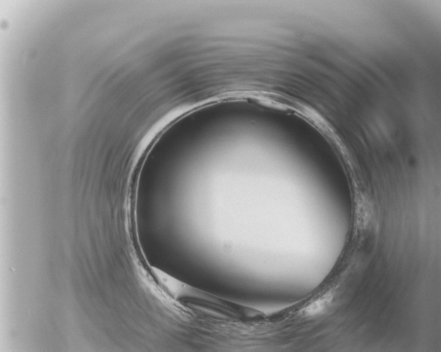 X0000056000955200508261746