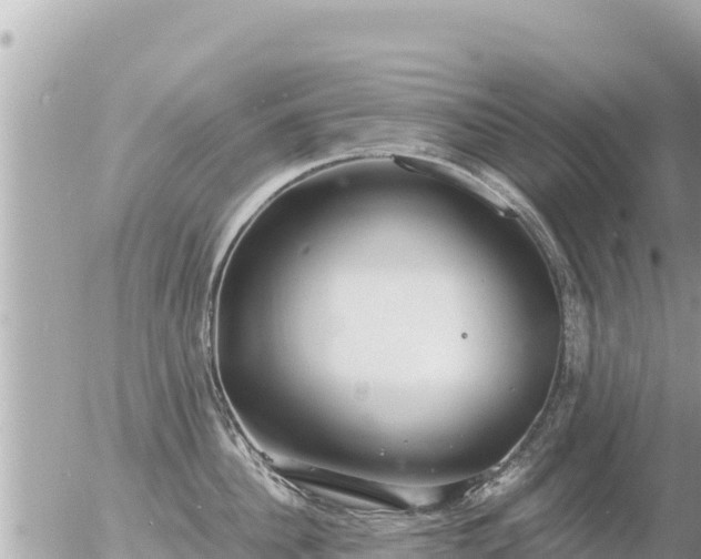 X0000056000956200508261746