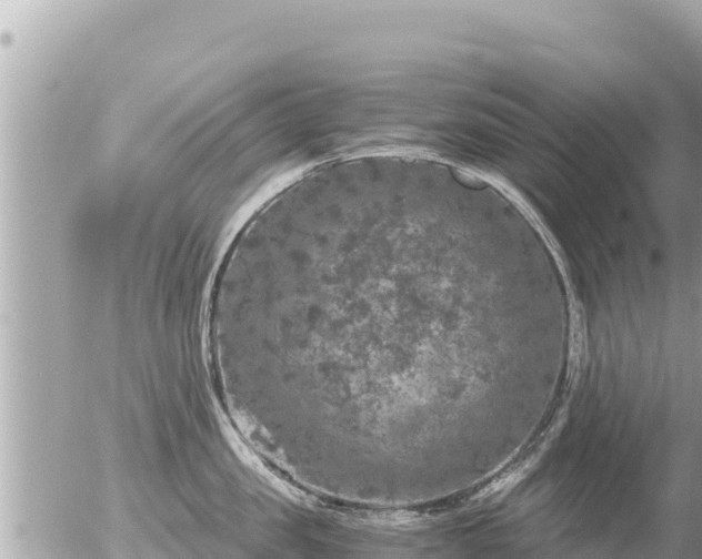 X0000056000957200508261746