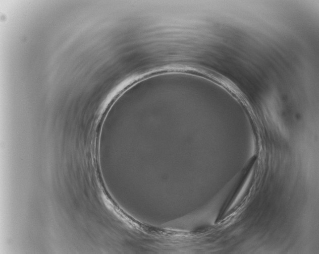 X0000056000958200508261746