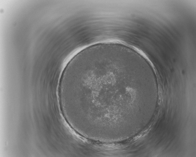 X0000056000959200508261746