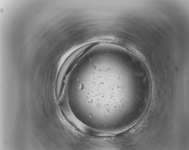 X0000056000960200508261746