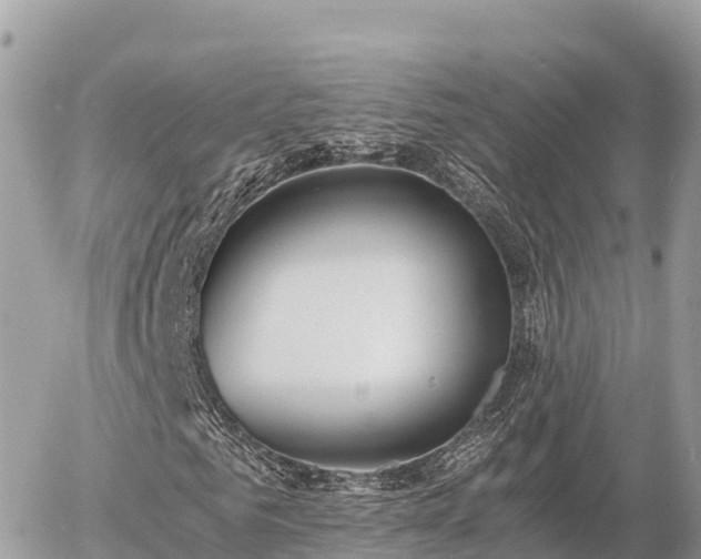 X0000056000961200508261746