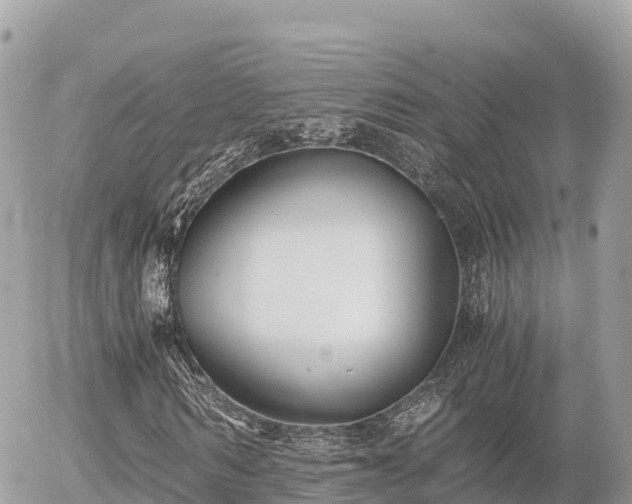 X0000056000962200508261746