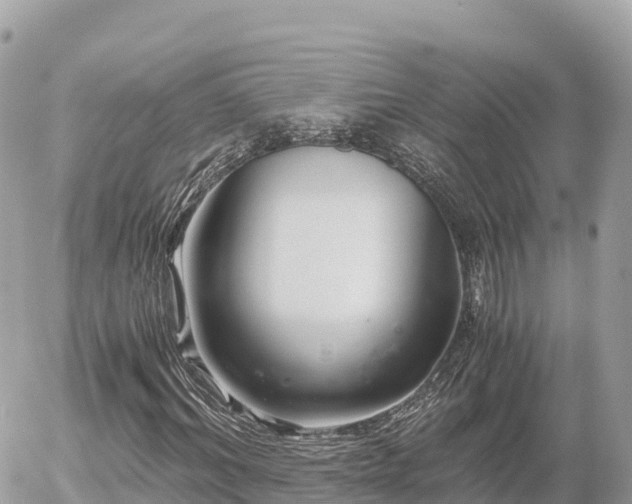 X0000056000964200508261746