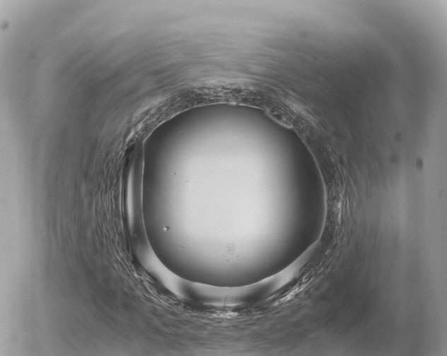 X0000056000965200508261745