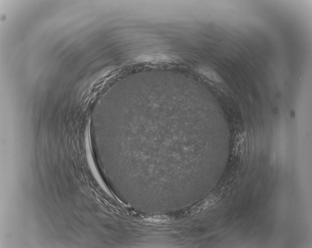 X0000056000966200508261745