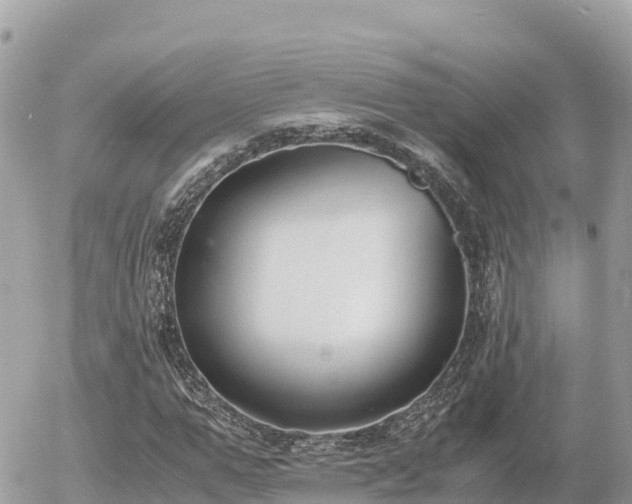 X0000056000967200508261745