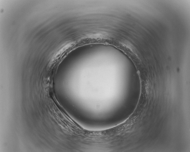 X0000056000968200508261745