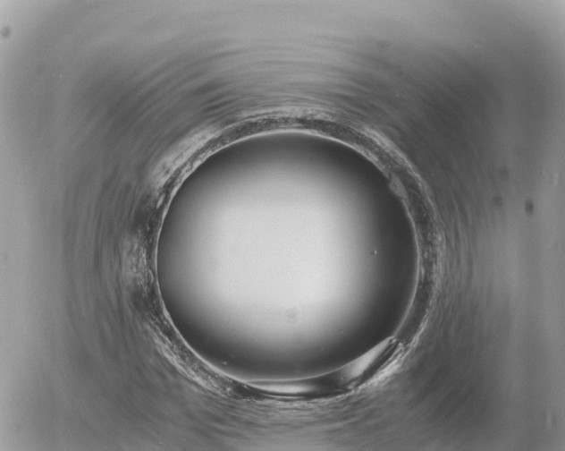 X0000056000969200508261745