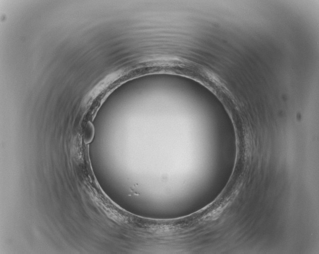 X0000056000970200508261745