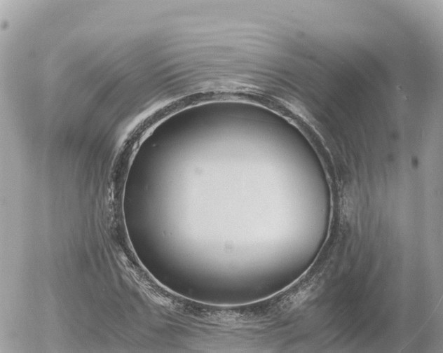 X0000056000971200508261745