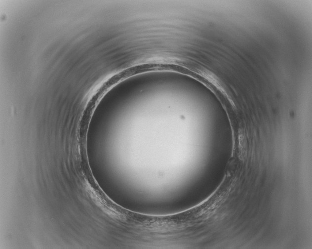 X0000056000972200508261745