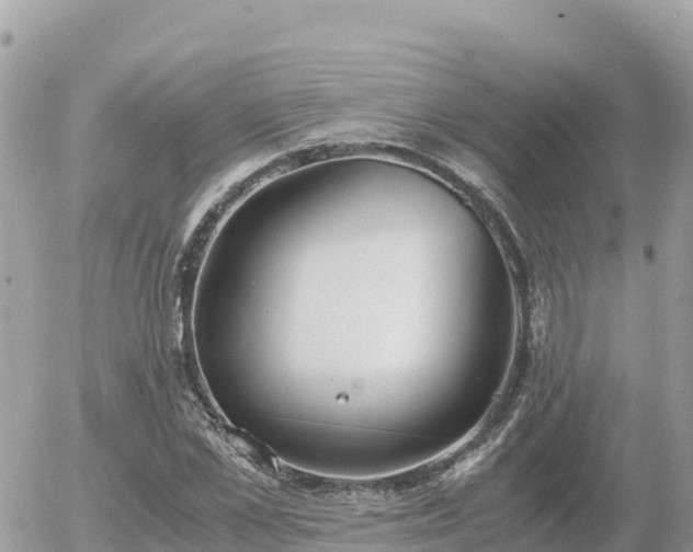 X0000056000973200508261745