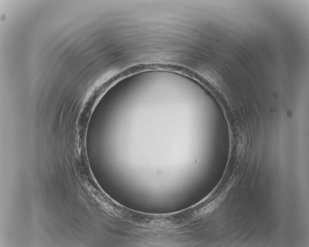 X0000056000974200508261745