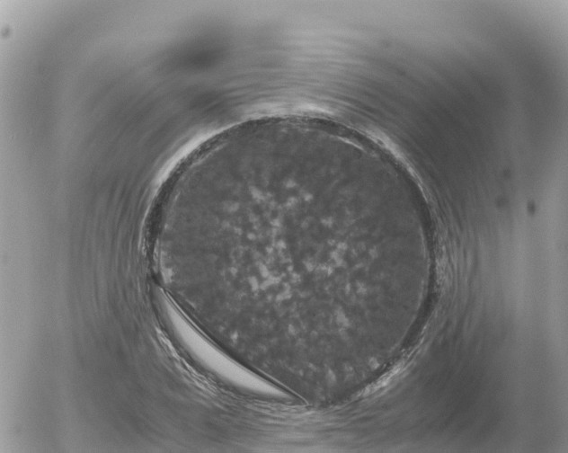 X0000056000975200508261745