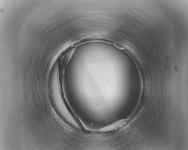 X0000056000976200508261745