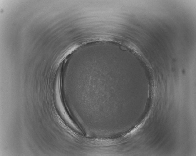 X0000056000977200508261745