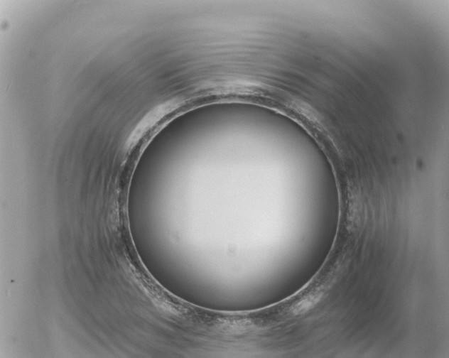 X0000056000978200508261745