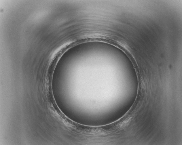 X0000056000979200508261745