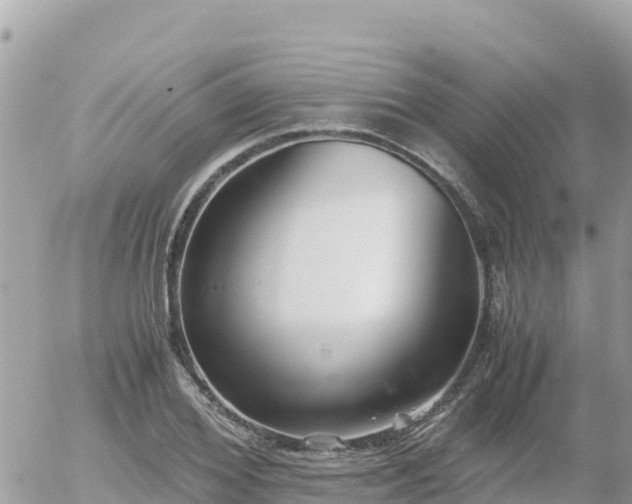 X0000056000980200508261745