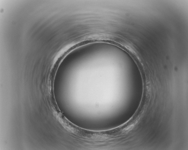 X0000056000981200508261745