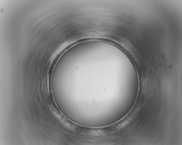 X0000056000982200508261745