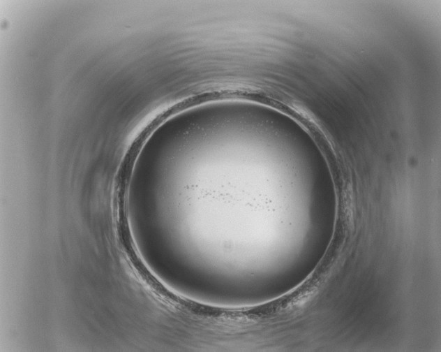 X0000056000983200508261745