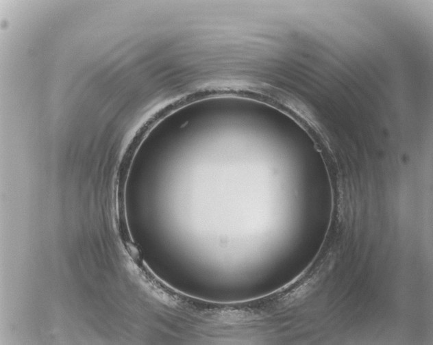 X0000056000984200508261745