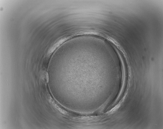 X0000056000985200508261745