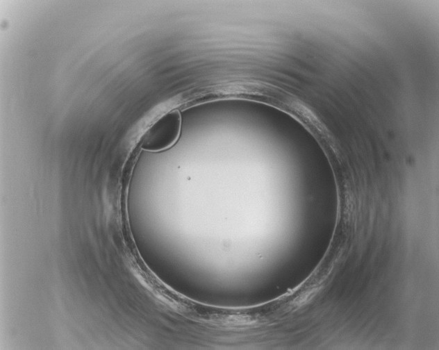 X0000056000986200508261745