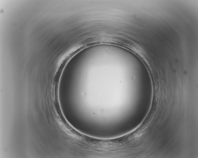 X0000056000987200508261745