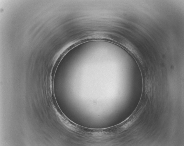 X0000056000988200508261745