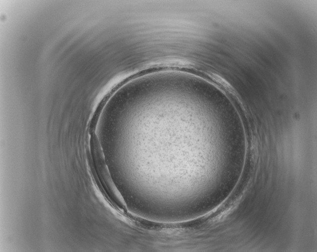 X0000056000989200508261745