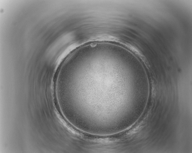 X0000056000990200508261745