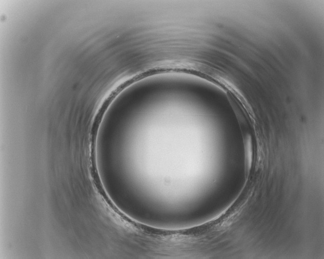 X0000056000992200508261745