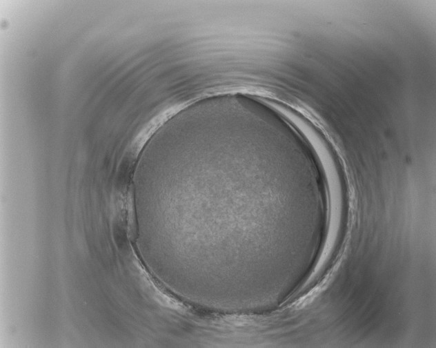 X0000056000993200508261745