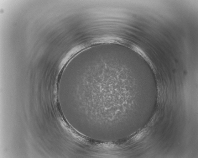 X0000056000994200508261745