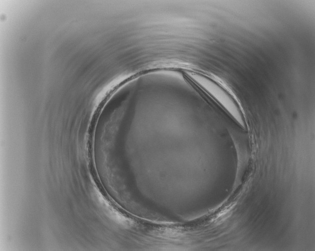 X0000056000995200508261745