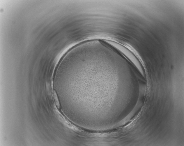 X0000056000996200508261745