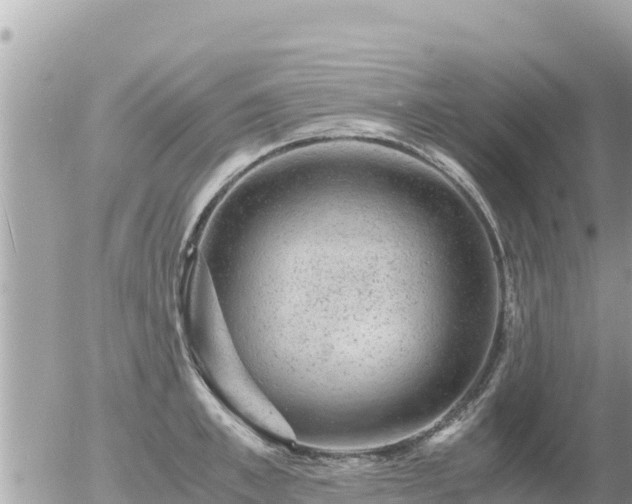 X0000056000997200508261745