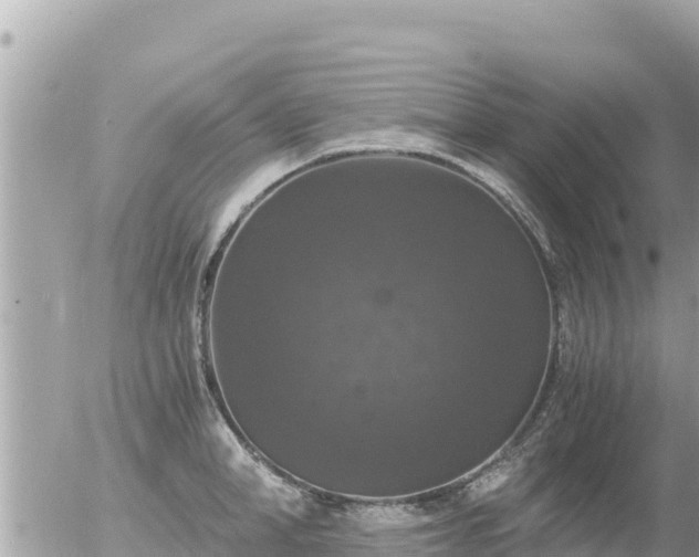 X0000056000998200508261745