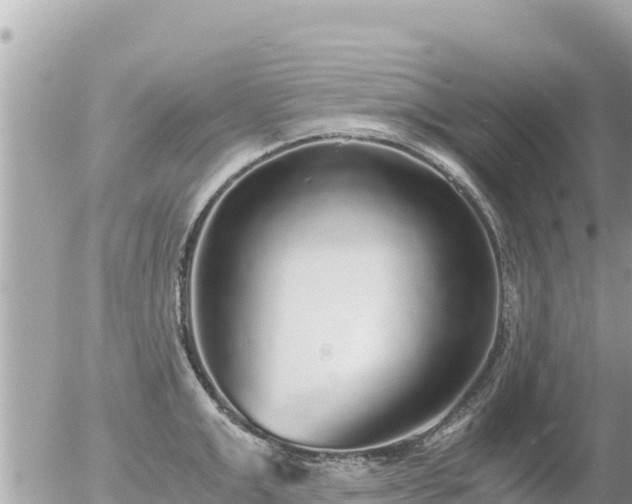 X0000056000999200508261745