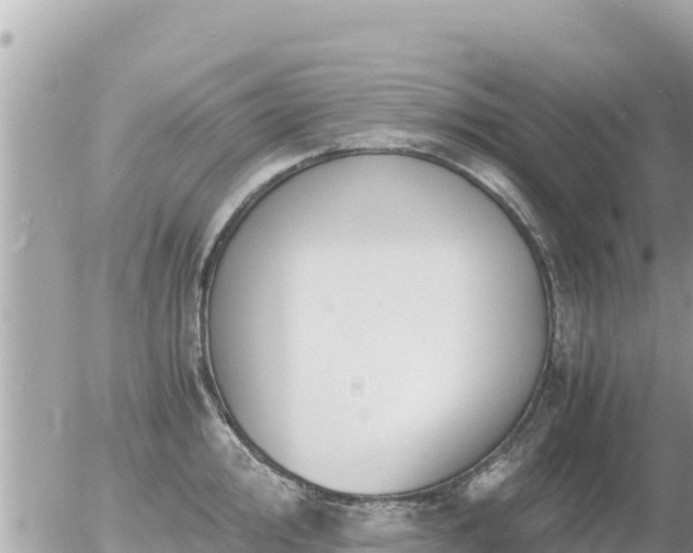 X0000056001000200508261745