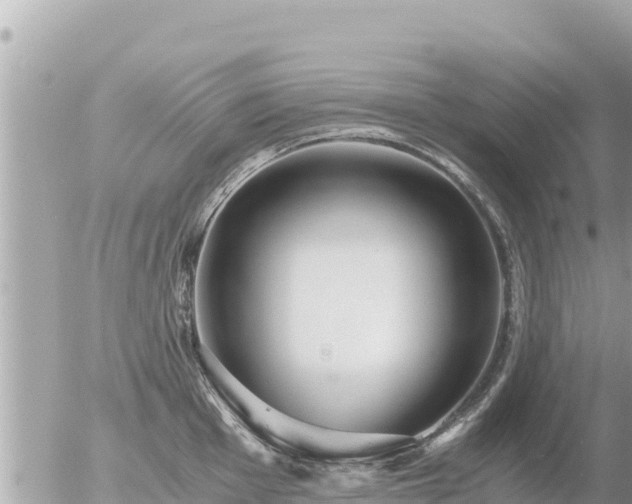 X0000056001001200508261745