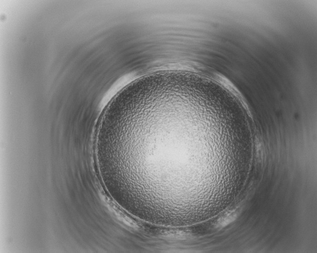 X0000056001002200508261745