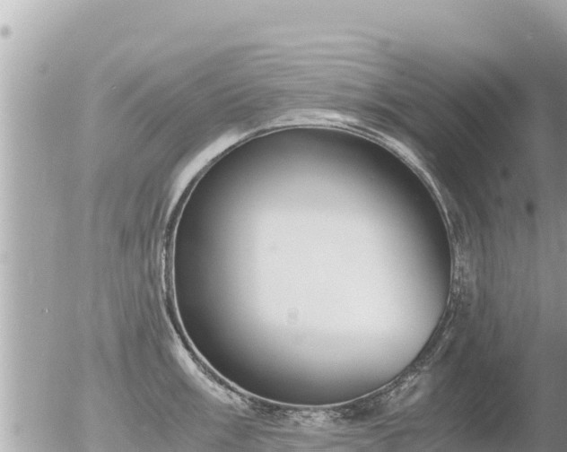 X0000056001003200508261745